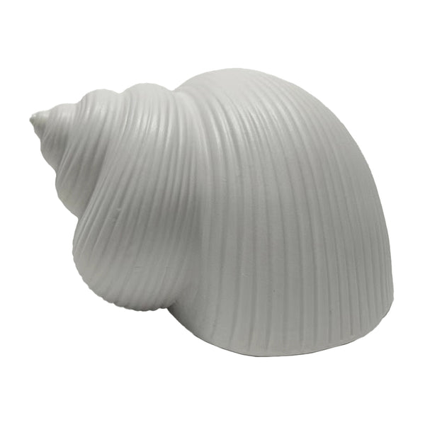 6" Bonnet Seashell, White