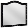 Deanna Button Tufted Dresser Mirror Black