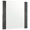 Blacktoft Rectangle Dresser Mirror Black