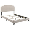 Tamarac Upholstered Nailhead Eastern King Bed Beige