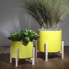 8" Striped Planter W/ Wood Stand, Yellow
