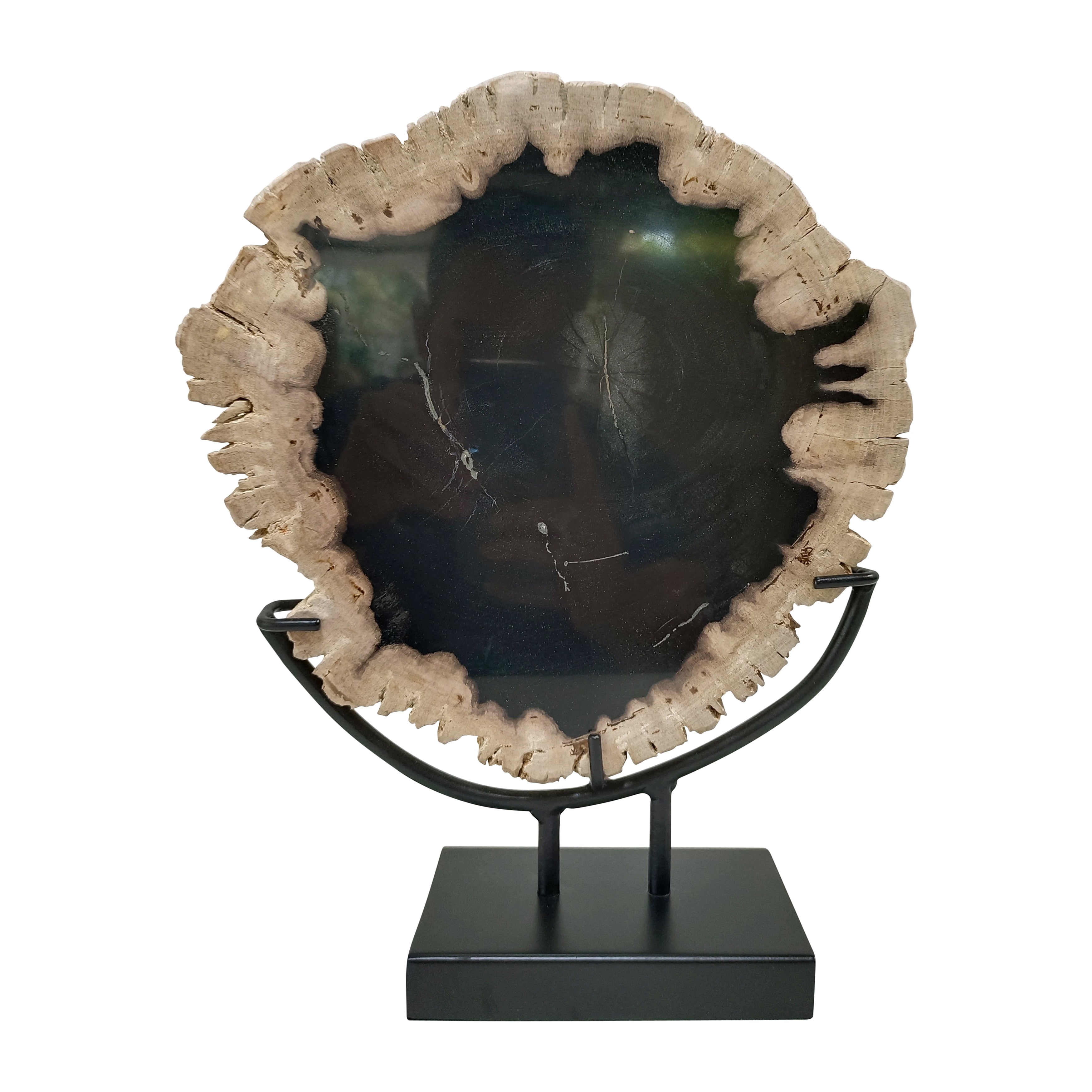 Petrified Wood, 12