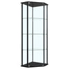 Zenobia Glass Shelf Curio Cabinet Clear and Black