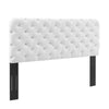 Lizzy Tufted King/California King Performance Velvet Headboard