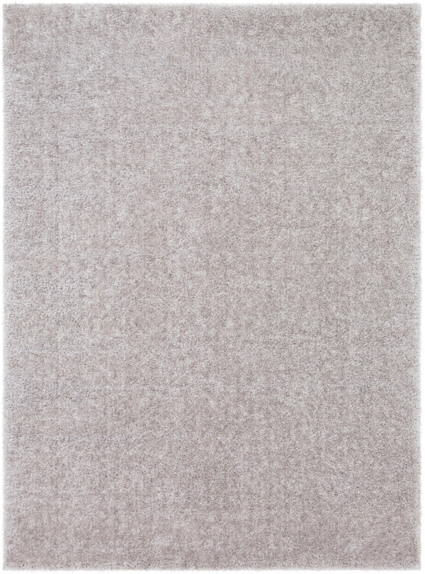 Alaska Shag AAS-2300 2'7" x 7'3" Rug