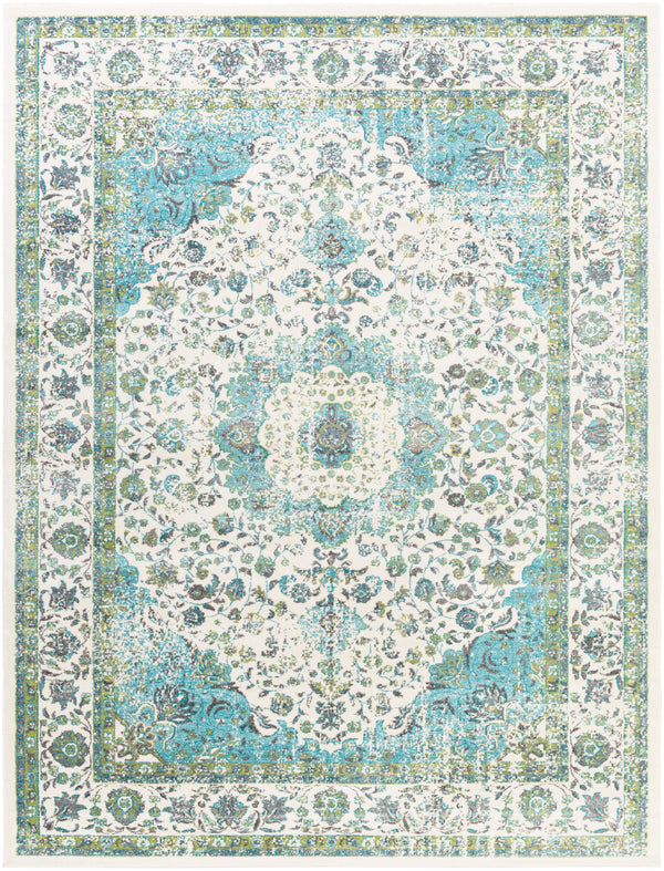 Aberdine ABE-8004 2'2" x 3' Rug