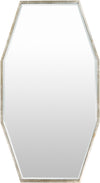 Adams ADA-3000 55"H x 30"W Mirror