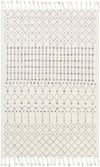 Agadir AGD-1000 2' x 3' Rug