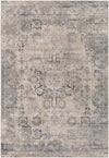 Aisha AIS-2316 2'7" x 7'7" Rug