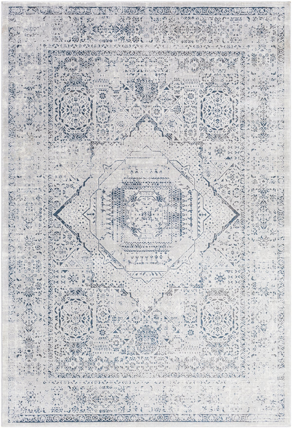 Aisha AIS-2318 2'7" x 7'7" Rug