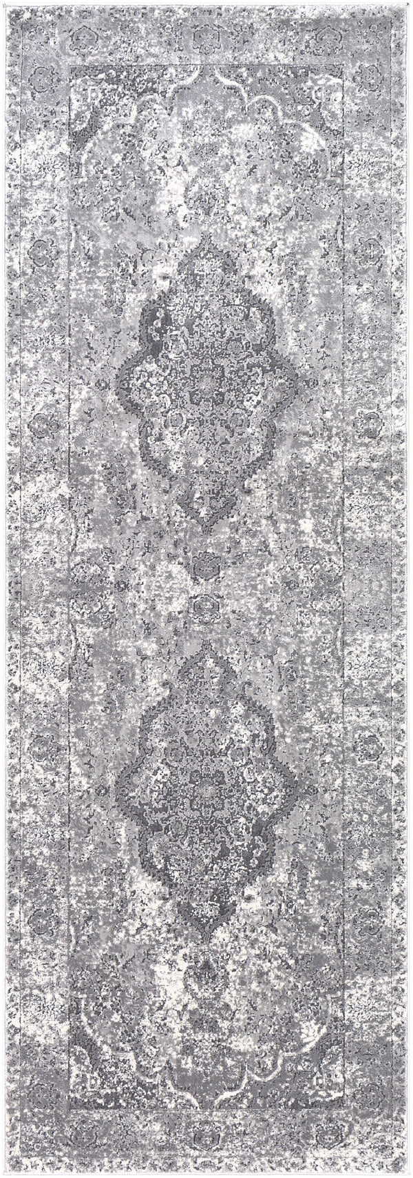 Aisha AIS-2319 2'7" x 7'7" Rug