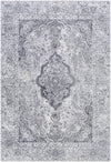 Aisha AIS-2319 2'7" x 7'7" Rug