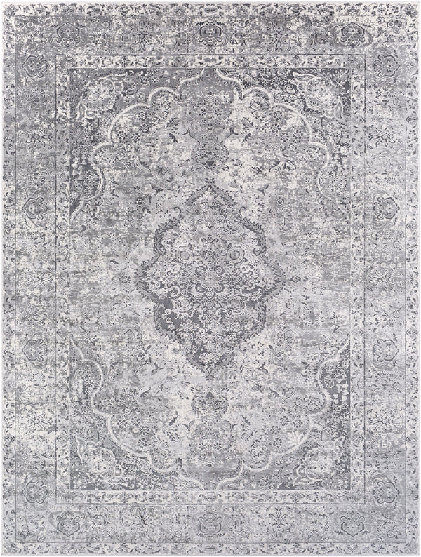 Aisha AIS-2319 2'7" x 7'7" Rug