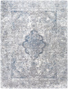 Aisha AIS-2320 2'7" x 7'7" Rug