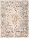 Ankara AKR-2301 2'7" x 10' Rug