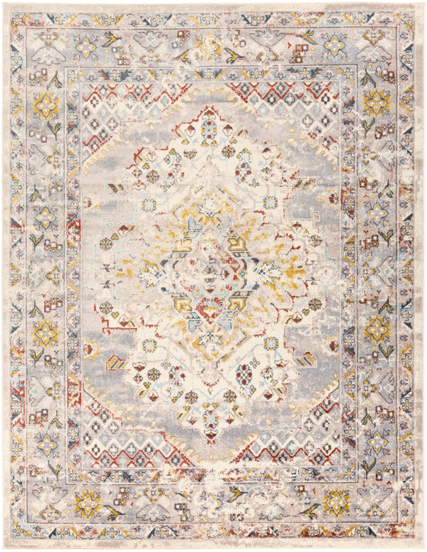 Ankara AKR-2301 2'7" x 10' Rug