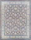 Ankara AKR-2317 5'2" x 7' Rug