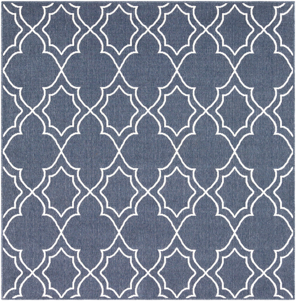 Alfresco ALF-9650 2'5" x 11'10" Rug