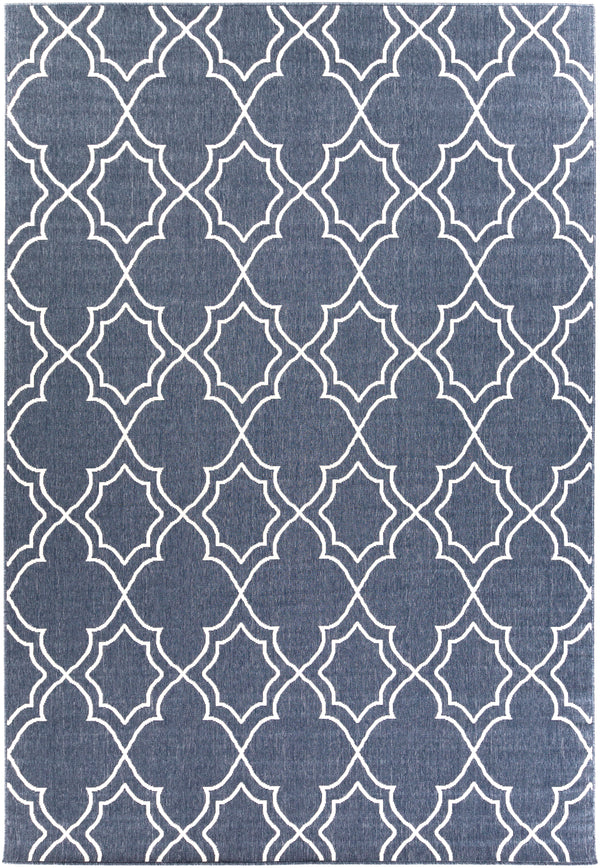 Alfresco ALF-9650 2'5" x 11'10" Rug