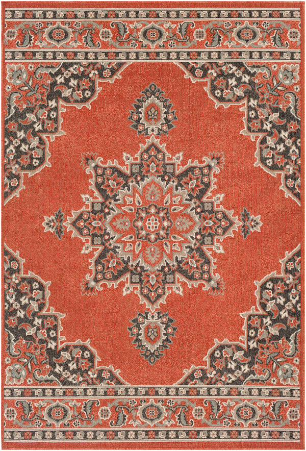 Alfresco ALF-9672 2'5" x 11'10" Rug