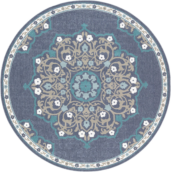 Alfresco ALF-9678 2'5" x 11'10" Rug