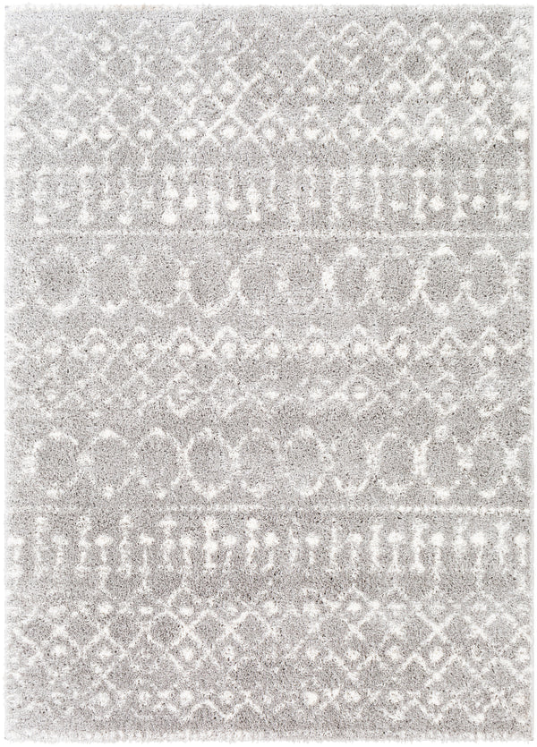 Aliyah shag ALH-2304 2' x 3' Rug