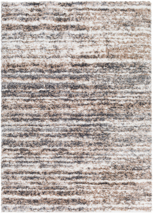 Aliyah shag ALH-2307 2' x 3' Rug