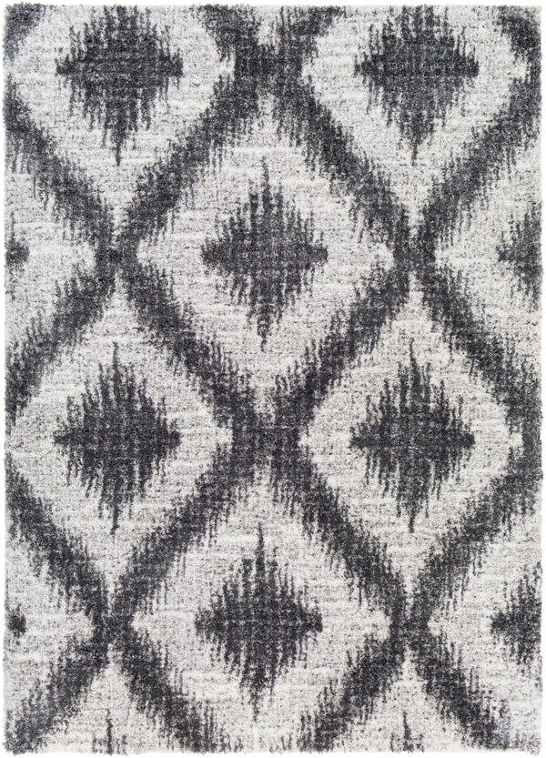 Aliyah shag ALH-2310 2' x 3' Rug