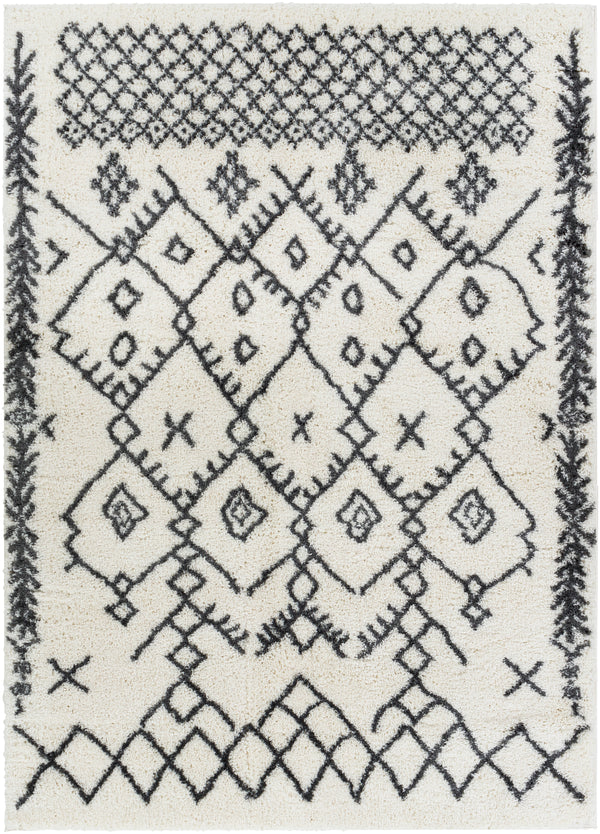 Aliyah shag ALH-2314 2' x 3' Rug