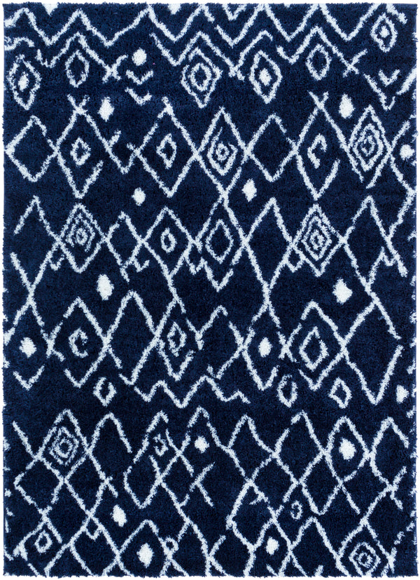 Aliyah shag ALH-2317 2' x 3' Rug