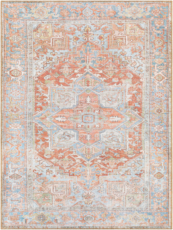 Alanya ALY-2305 2'7" x 7'3" Rug