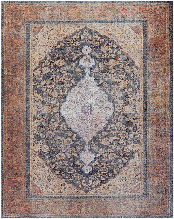 Amelie AML-2300 2'7" x 7'10" Rug