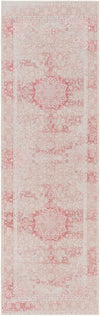 Amelie AML-2301 2'7" x 7'10" Rug