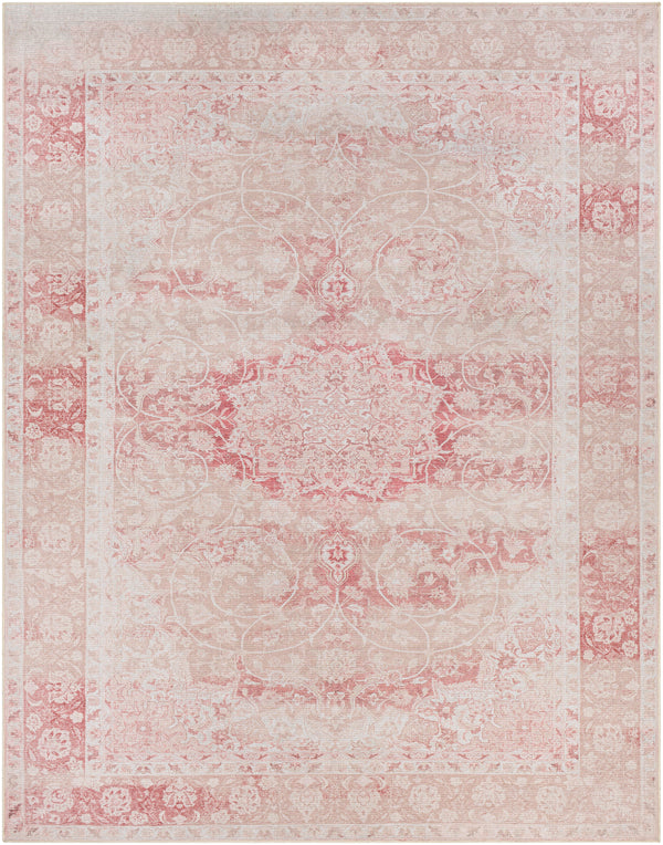 Amelie AML-2301 2'7" x 7'10" Rug