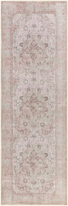 Amelie AML-2303 2'7" x 7'10" Rug