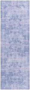 Amelie AML-2304 2'7" x 7'10" Rug