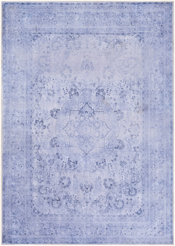 Amelie AML-2304 2'7" x 7'10" Rug