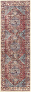 Amelie AML-2306 2'7" x 7'10" Rug