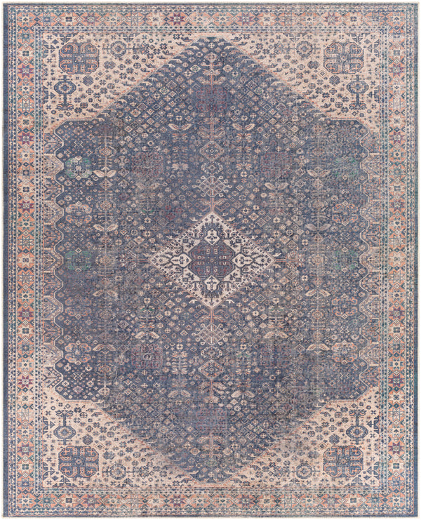 Amelie AML-2307 2'7" x 7'10" Rug