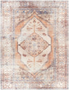 Amelie AML-2312 2'7" x 7'10" Rug