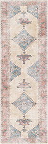 Amelie AML-2313 2'7" x 7'10" Rug