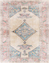 Amelie AML-2313 2'7" x 7'10" Rug