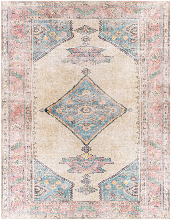 Amelie AML-2313 2'7" x 7'10" Rug