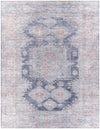 Amelie AML-2314 2'7" x 7'10" Rug