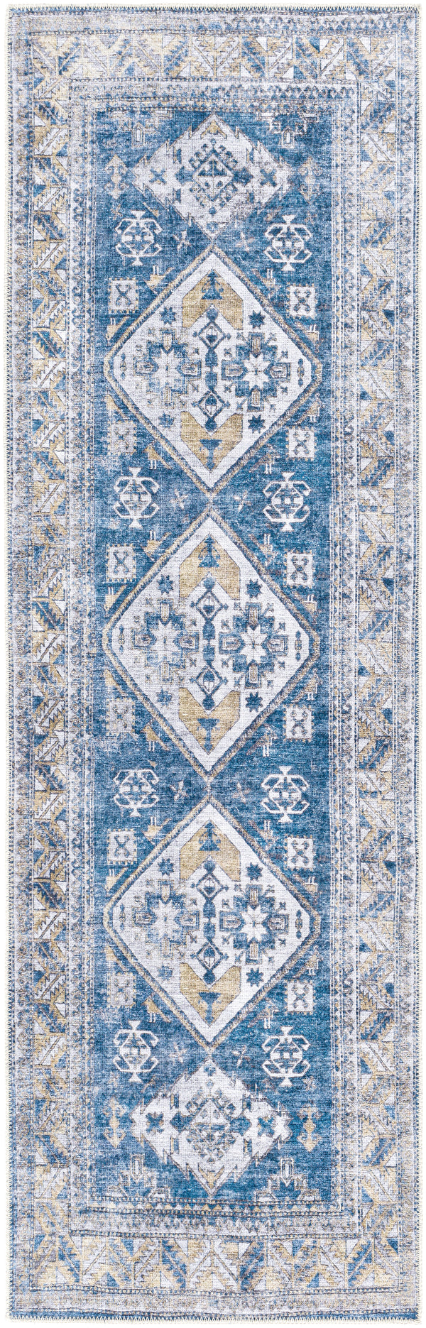 Amelie AML-2315 2'7" x 7'10" Rug