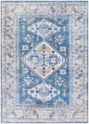 Amelie AML-2315 2'7" x 7'10" Rug