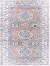 Amelie AML-2316 2'7" x 7'10" Rug