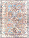 Amelie AML-2321 2'7" x 7'10" Rug