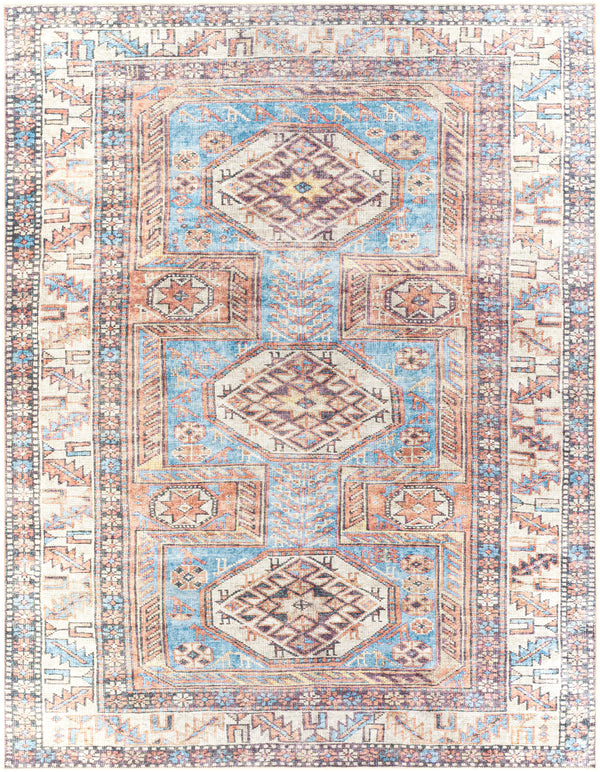 Amelie AML-2321 2'7" x 7'10" Rug