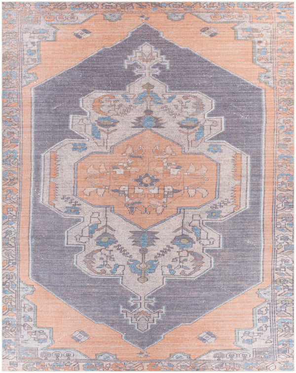 Amelie AML-2327 2'7" x 7'10" Rug